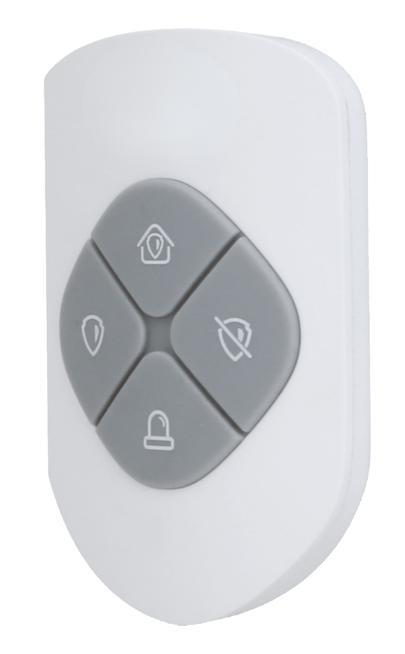 Additional Remote Keyfobs